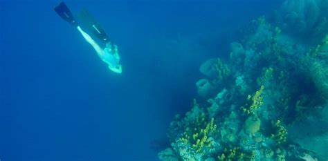 Ocean Nomad, Sailing and Conservation Adventure Travel Blog | @Oceanpreneur