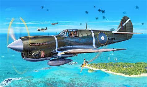 P40 Warhawk Art