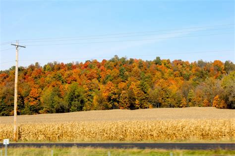 KEEP CALM AND CARRY ON: MARMON VALLEY FARM::HORSEBACK RIDING