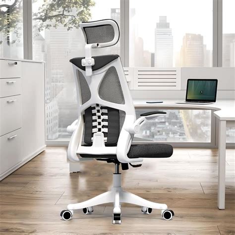 Sichy Age Ergonomic Office Chair Computer Mesh Chair Home Office Desk