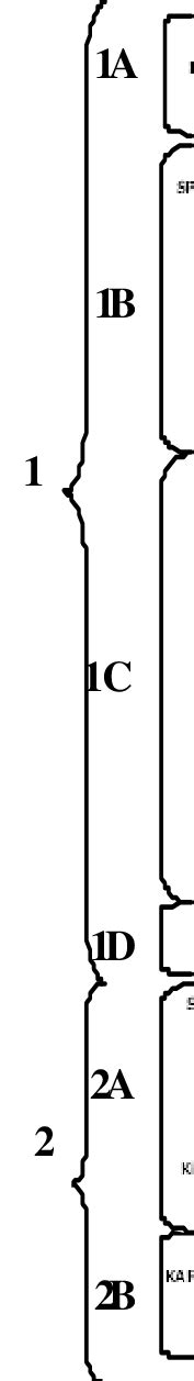 Upgma Dendrogram Based On Euclidean Distance Coefficient Of 89