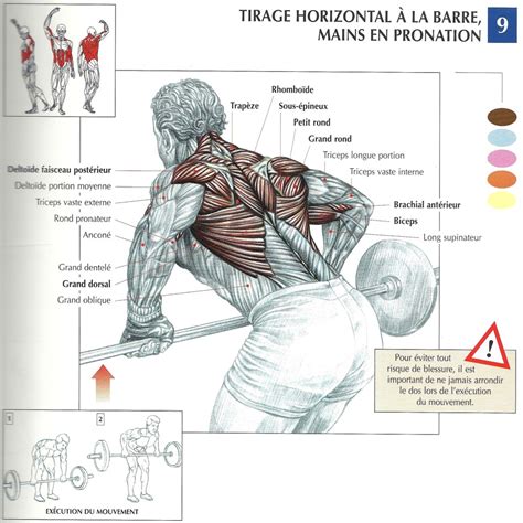 BPJEPS Musculation Réussir son BPJEPS