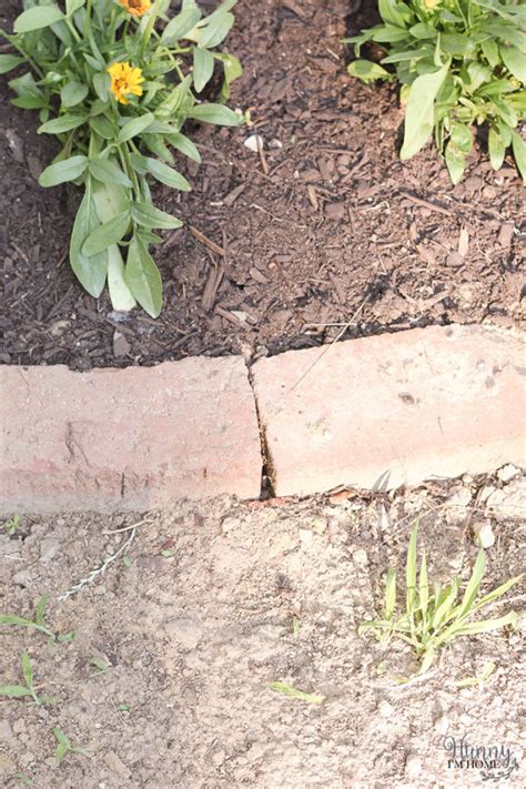 How To Make A Flower Bed With Bricks Hunny I M Home