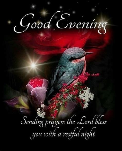 Hummingbird Good Evening Sending Prayers The Lord Bless You With A Restful Night Pictures