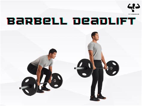 Barbell Deadlift How To Benefits Fitdominium