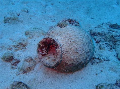 海底に沈むのは琉球王国時代のタイムカプセル！？時を超え、いまなお残る水中文化遺産に会いに行く【石垣島】 ｜ 和樂web 美の国ニッポンをもっと知る！