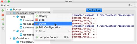 Docker Compose Jetbrains Rider Documentation