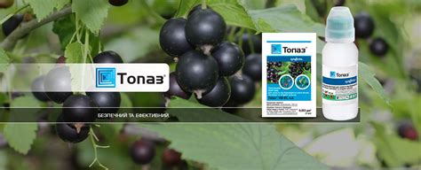 Топаз для дач та городів | Сингента Україна