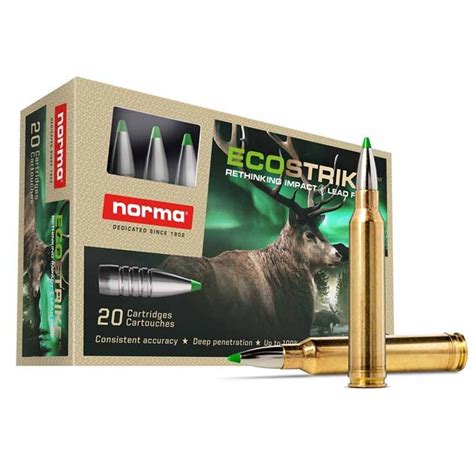 Norma 300 Wm Ecostrike 165 Gr