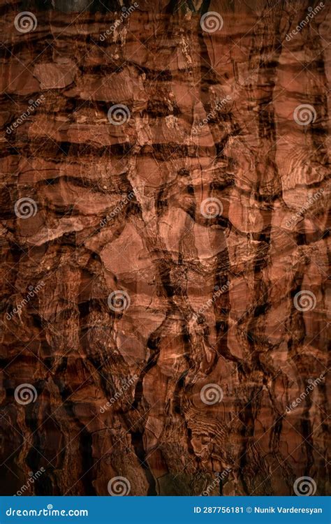 Original Texture Woody Background Stock Image Image Of Design