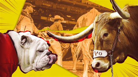 An oral history of when Bevo charged Uga at the Sugar Bowl - ESPN