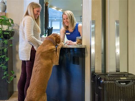 Best Pet-Friendly Hotels in the US 2021