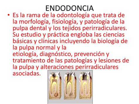 Ramas De La Odontologia Ppt