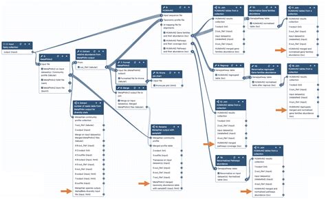 Guide Shotgun Metagenomics Workflow With Metaphlan V How To Guide