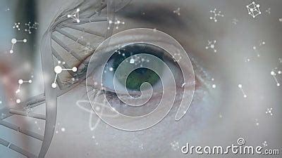 Animation of Dna Strand and Molecules Over Eye of Caucasian Woman Stock ...