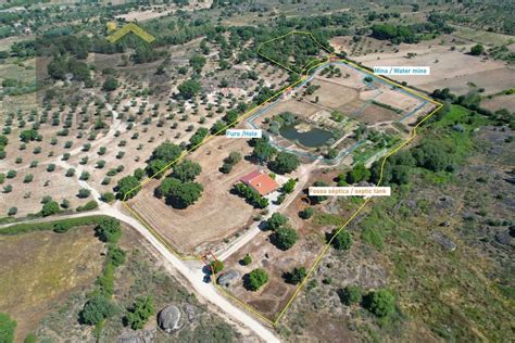 Quinta Venda Em Escalos De Baixo E Mata Castelo Branco Idealista