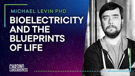 Episode 49 Micheal Levin Bioelectricity And The Blueprints Of Life