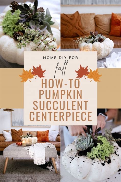 How To Make A Pumpkin Succulent Centerpiece Fresh Mommy Blog