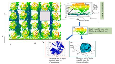 基于地面激光扫描的三维点云数据估算植物形态参数 知乎