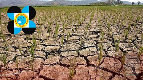 El Niño maaaring magsimula sa susunod na linggoPAGASA