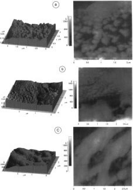 X Ray Patterns Diffraction Of A 1 μ M Thick Sprayed Ag 2 S Thin Layers Download Scientific