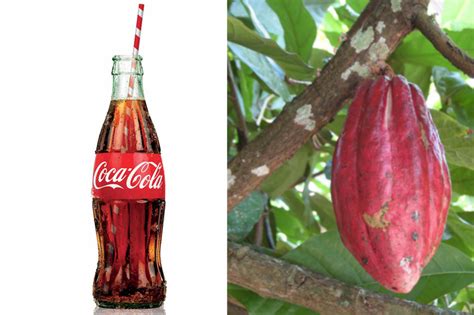 Evolution of the Iconic Coca-Cola Bottle Branding | R. ONE Creative