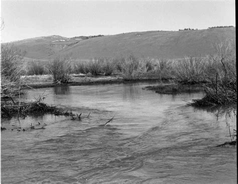 Free picture: beaver, dam, vintage, photo