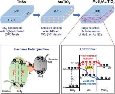 通过边缘选择性沉积耦合长程晶面结和界面异质结用于高性能 Z 型光催化剂 Advanced Science X MOL