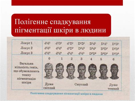 Генотип як цілісна система - презентация онлайн