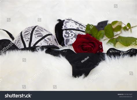 Sexy Black White Lingerie Red Rose Stock Photo Shutterstock