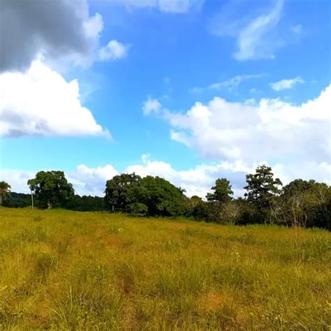 Finca De Tareas Con Vocaci N Ganadera Y Agr Cola Monte Plata