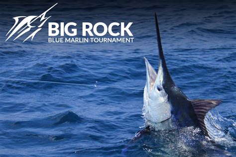 Mid Atlantic Marlin Tournament August Image To U