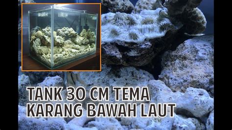 Gambar Batu Karang Di Dasar Laut Gambar Alam Lautan Hewan Menyelam