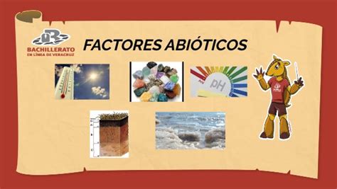 Factores AbiÓticos