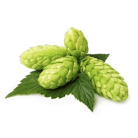 Хмель ПЕККО PEKKO (США), альфа 15,8%, 100 гр