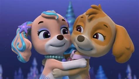 Skye And Coral Cute Cousins Paw Patrol Pups Skye Paw Patrol Pup