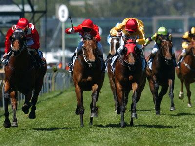 pattern race  horse racing understanding racing