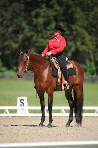 Western Dressage Understanding Basic Level Tests 3 4 Ride Magazine