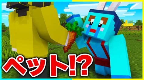 ウザすぎる弟をペットにして生活してみた結果ww【まいくら・マインクラフト】 Minecraft Summary マイクラ動画