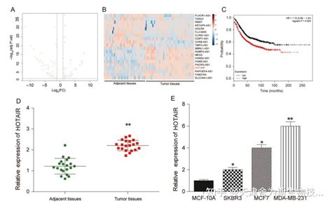 经典cerna科研思路：lncrnamirnamrna轴在癌症发生发展过程中的指导性参考 知乎