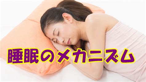 「睡眠の質を上げる」には睡眠不足のメカニズムを知る。 良質な睡眠を取ろう。