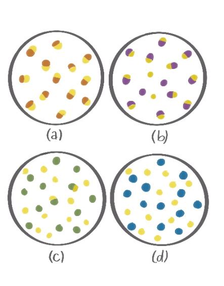 The Following Diagrams Are Nanoscale Representations Of Different Acids