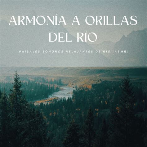 Armonía A Orillas Del Río Paisajes Sonoros Relajantes De Río Asmr