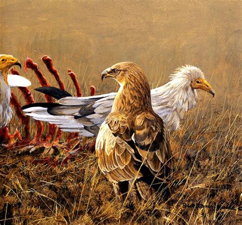 Maher Art Gallery: Robert Bateman paintings