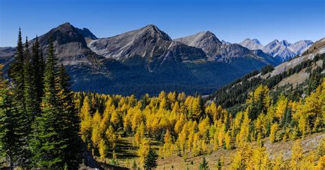 Four Days Of Fall In Canmore And Kananaskis Canmore Kananaskis