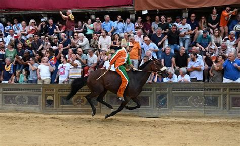 La Contrada Della Selva Vince Il Palio Di Siena Del Luglio