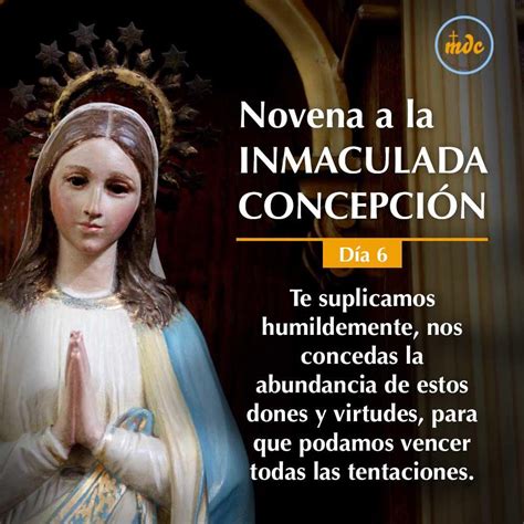 6to Día Novena A La Inmaculada Concepción Inmaculada Concepcion