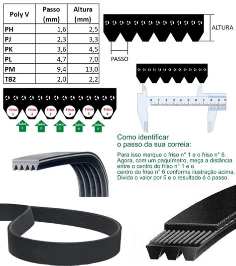 Correia Micro V Belt