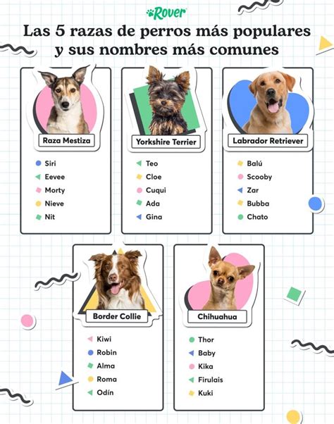 Cuales Son Los Nombres De Perros Mas Lindos