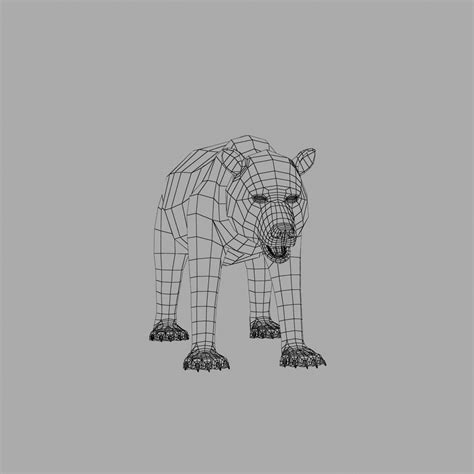 Bear Rigged - 3d Model